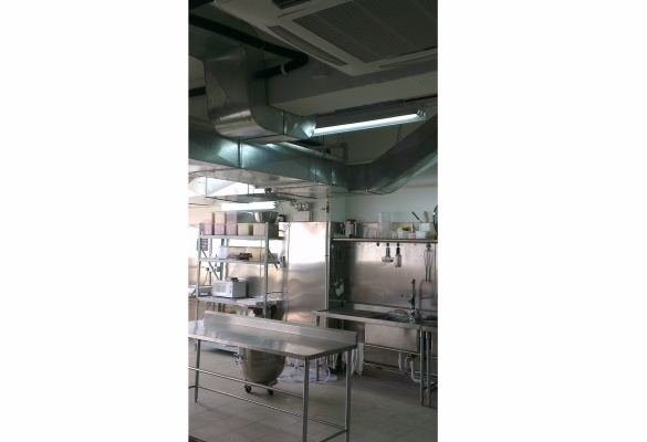 IMAG0503